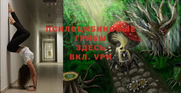apvp Семилуки