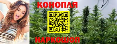 бошки Краснодар